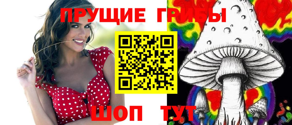 Псилоцибиновые грибы Cubensis  Галлюциногенные грибы GOLDEN TEACHER  Ижевск  Вход с VPN 