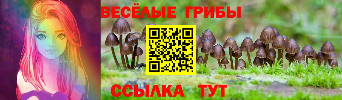 Галлюциногенные грибы Cubensis Ижевск